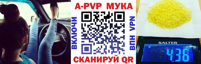 A-PVP СК  Рыбинск 