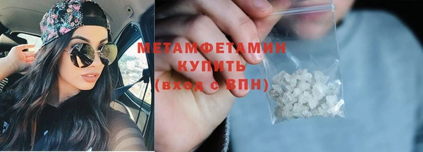 прущие грибы Богданович