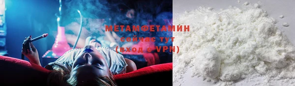 прущие грибы Богданович
