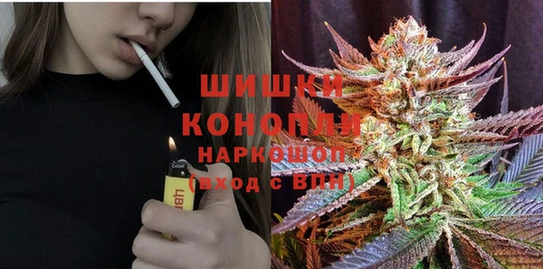 прущие грибы Богданович