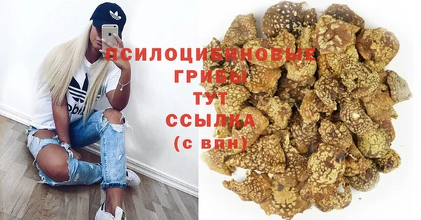 прущие грибы Богданович