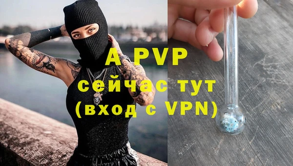 mdpv Богородицк