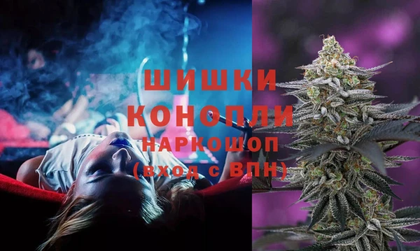 mdpv Богородицк