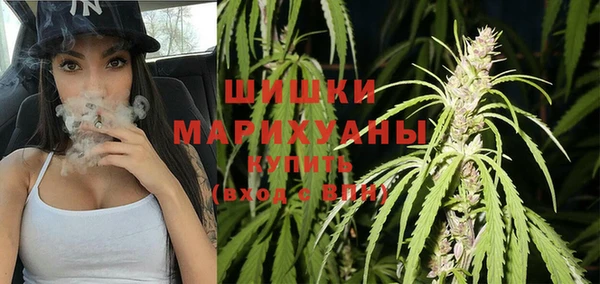 mdpv Богородицк