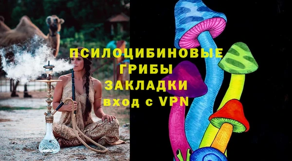 прущие грибы Богданович
