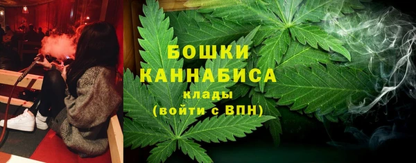 mdpv Богородицк
