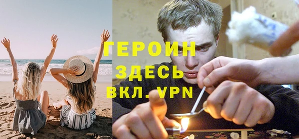 прущие грибы Богданович