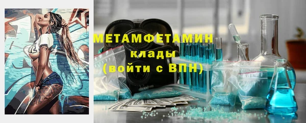 прущие грибы Богданович